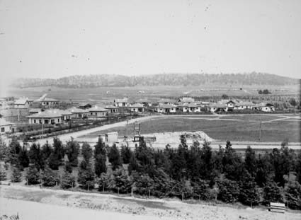 View to south from Kingston Power Station - Plantation of Monterey Pine and Cootamundra Wattle, 5-8 years old along Wentworth Avenue, Kingston. Centre of photo are Gosse Street houses built 1921/1922 in Eastlake (Kingston) for the Federal Capital Commission. Background are first cottages in Franklin Street Manuka. Centre of photo is a sand wash. Horizon is Red Hill.