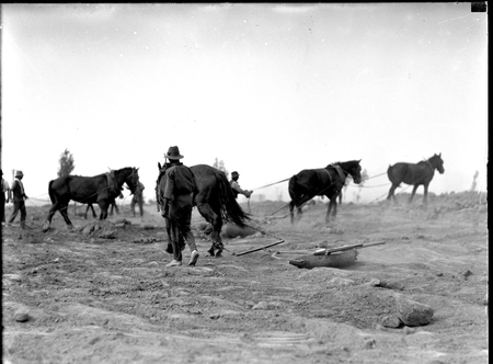 Workmen with horsedrawn scoops.