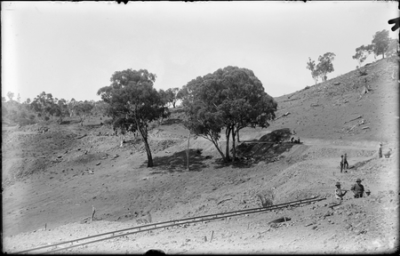 Cotter to Uriarra Road under construction. Native trees are Yellow Box and White Brittle Gum.