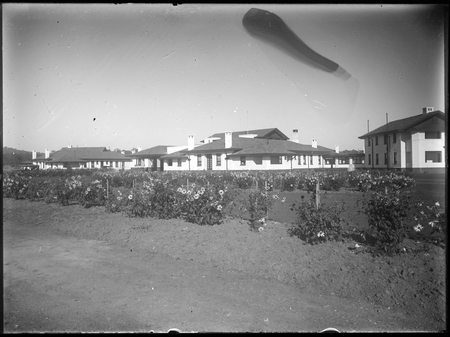 Gardens and Hotel Canberra from the south.