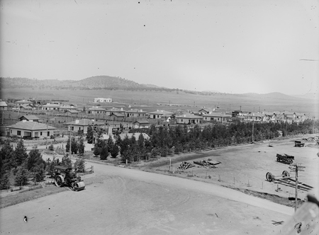 Pine plantation and houses at Kingston from Kingston Power Station.