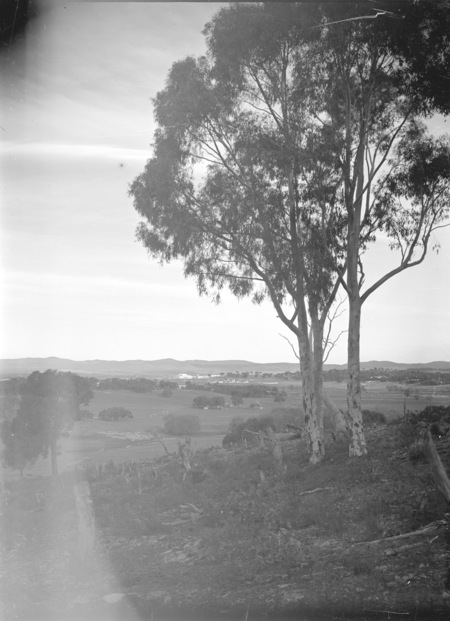 Distant view of Parliament House and Hotel Canberra