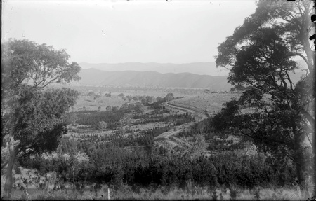 Plantations on Mount Stromlo - Road winds up to Mount Stromlo