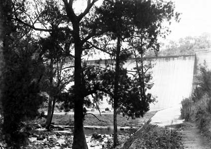 Cotter Dam wall and stilling pond  - River Oak trees in front