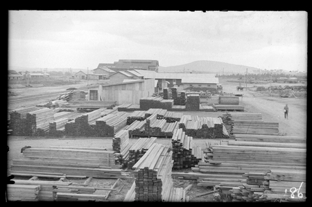 Timber storage yard at the saw mill, Kingston Power Station.