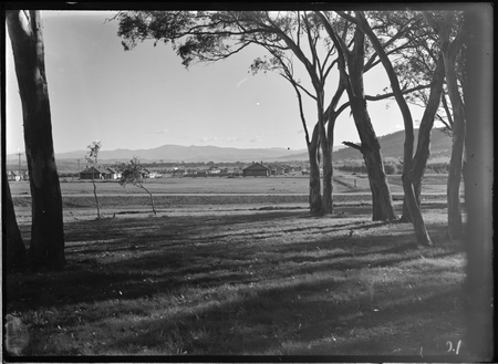 Braddon houses from Ainslie.