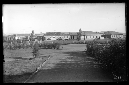 Gorman House Ainslie Avenue, Reid, completed. Gardens in front.