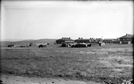 Construction site for cottages