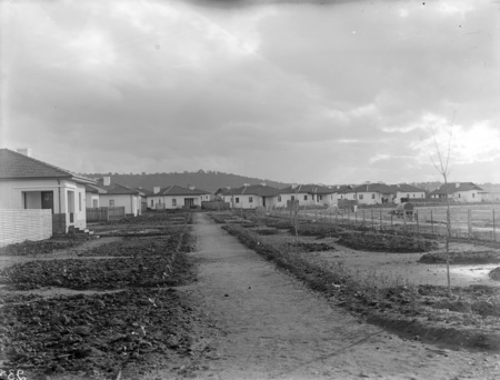 Houses in Gosse Street, Kingston looking towards Red Hill.