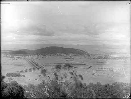 Panorama from Mount Ainslie overlooking North Canberra, Braddon and Black Mountain - Haig Park shelterbelt from Limestone Avenue