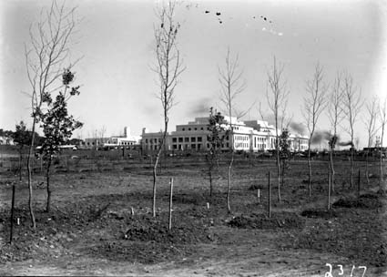 Parliament House from north east showing young trees