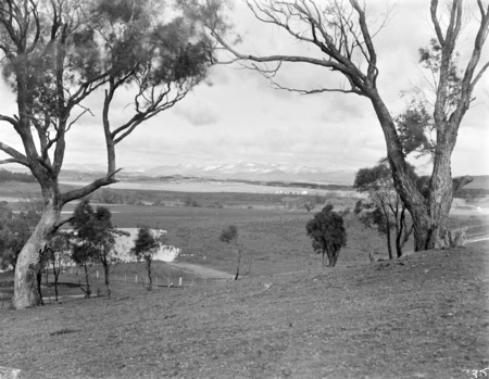Panorama from Red Hill over Woden valley with snow on the Brindabellas.