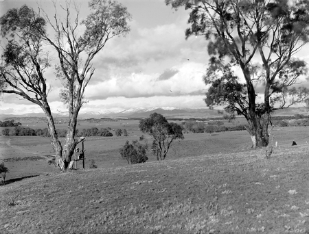 Panorama of snow on the Brindabellas, from Red Hill over Woden Valley.