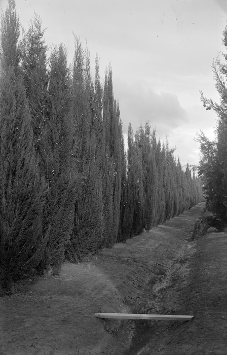 Yarralumla Nursery