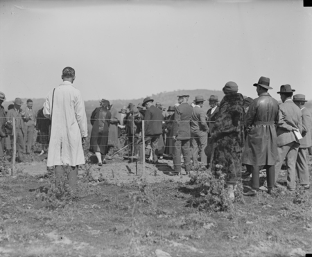 Tree planting by the Victorian Branch of the English Speaking Union.