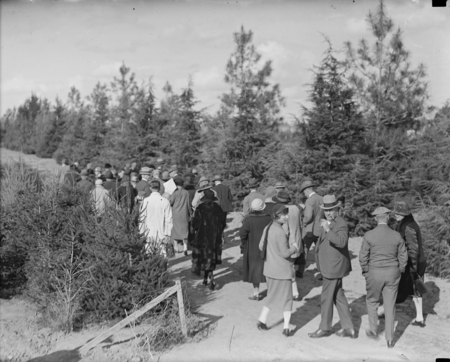 Tree planting by the Victorian Branch of the English Speaking Union.
