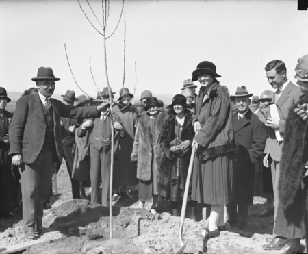 Tree planting by the Victorian Branch of the English Speaking Union.