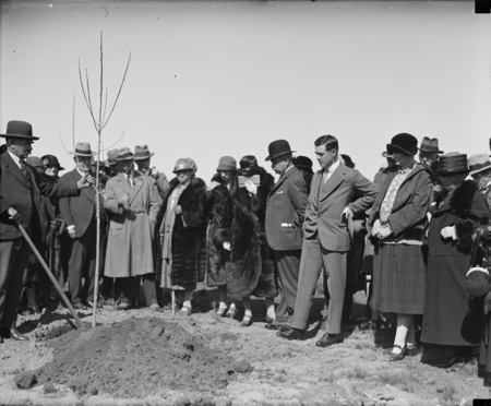 Tree planting by the Victorian Branch of the English Speaking Union.
