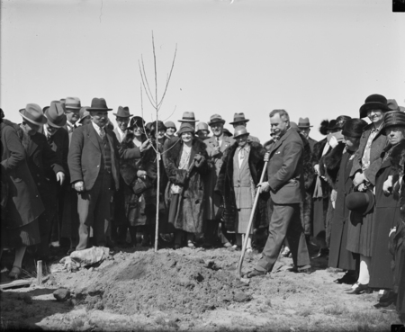 Tree planting by the Victorian Branch of the English Speaking Union.