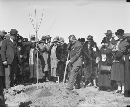 Tree planting by the Victorian Branch of the English Speaking Union.