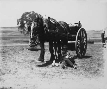 Horse with nose bag and dray with driver having lunch