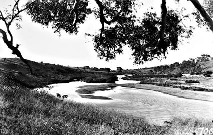 Murrumbidgee River at Cuppacumbalong Station