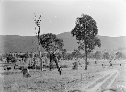 Scene at Cuppacumbalong Station
