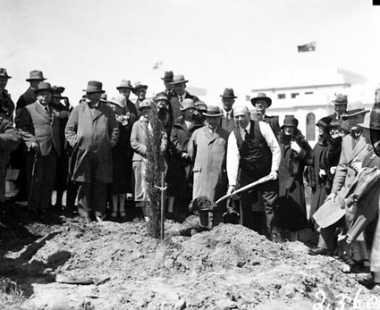 Empire Parliamentary Association tree planting ceremony