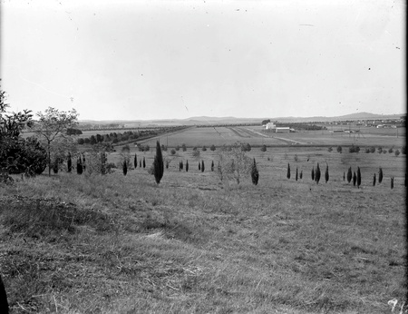 Looking north from Vernon Hill ( City Hill) towards Braddon and North Canberra