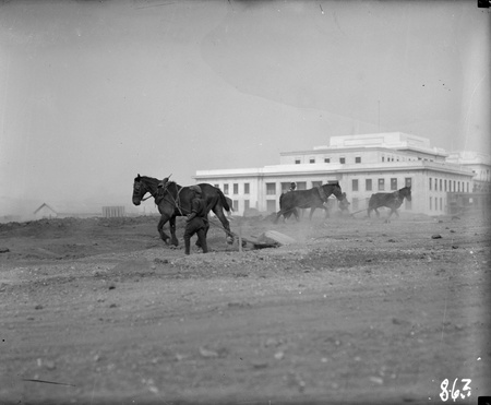 Parliament House landscape development with horse teams