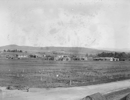 Houses in Reid.