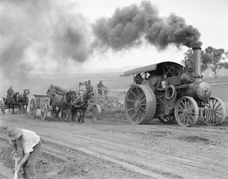 Traction engine towing a road grader loading wagons.