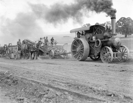 Traction engine towing a road grader loading a wagon and wagons drawn by horses.