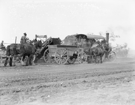 Traction engine towing a road grader loading a wagon drawn by horses.