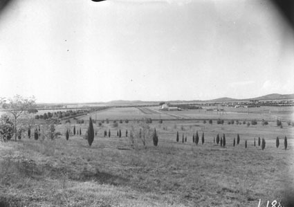 Looking up Northbourne Avenue before construction of Civic Centre. Cordial  factory ,Bakery and Steam  Laundry in Mort Street area