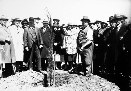 Empire Parliamentary Association tree planting ceremony