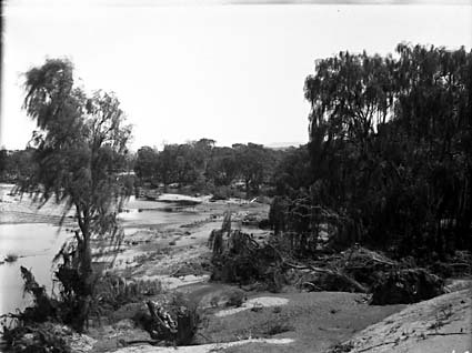 Molonglo River scene