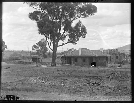   FCC houses under construction, Blandfordia (now Forrest).