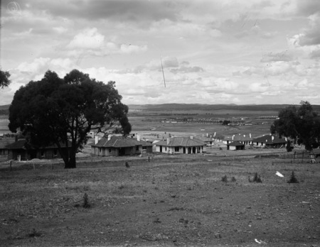 Houses in Forrest Area