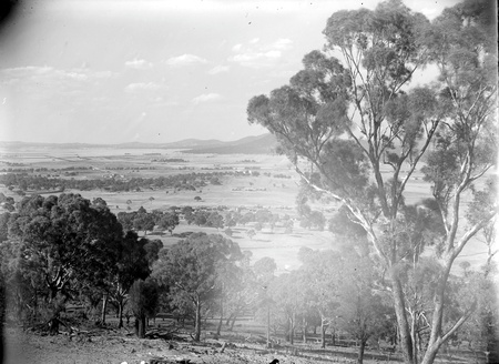 View from Red Hill, looking north