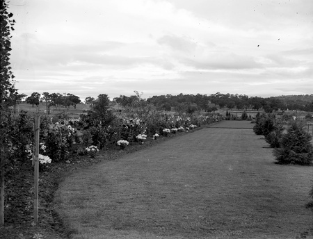 Flower beds in the plantation outside Hotel Canberra