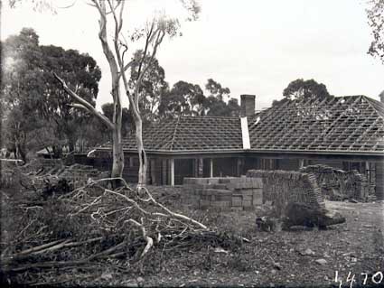 Acton houses, Balmain Crescent,  under construction
