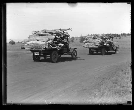 Two motor trucks carrying firewood.