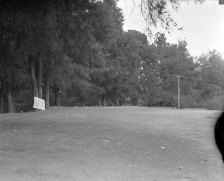 Cotter River picnic area.