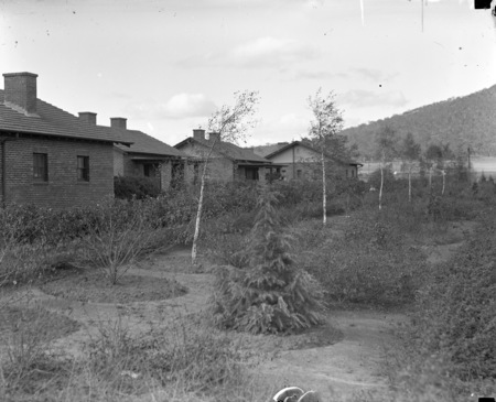 Braddon houses and gardens.