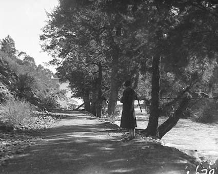 A lady on the path by the Cotter river near the Cotter Dam wall