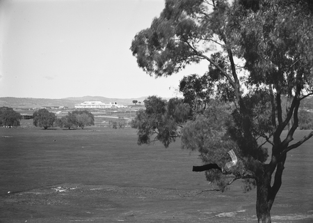 Parliament House from Acton.