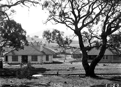Oakley and Parkes cottages, Dominion Circuit, Forrest