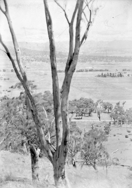 Anzac Parade, St John's Church and Parliament House from Mt Ainslie.