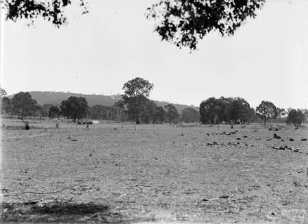 Unidentified landscape.